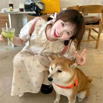 霍莉