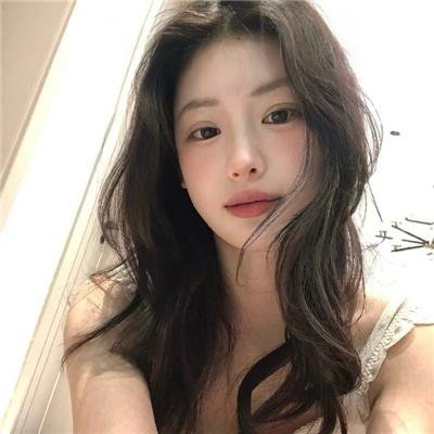 高卢英雄：首领争夺战